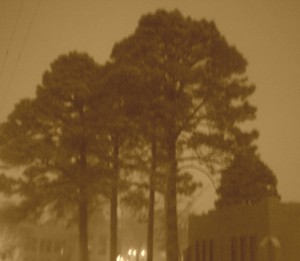 Blurtrees1-sepia